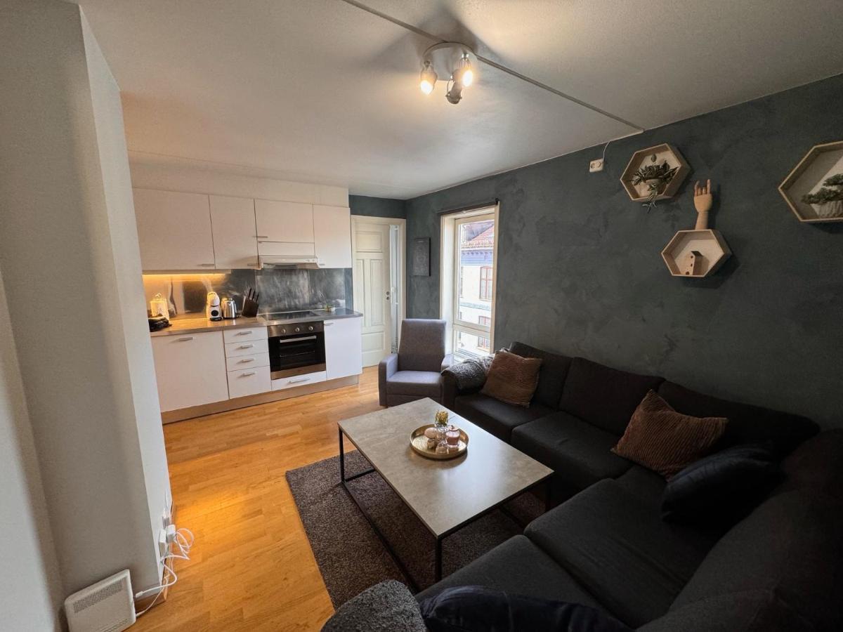 Super Central 3-Bedroom Apartment ออสโล ภายนอก รูปภาพ