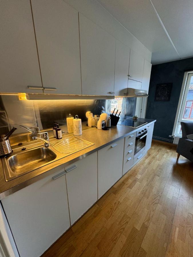 Super Central 3-Bedroom Apartment ออสโล ภายนอก รูปภาพ